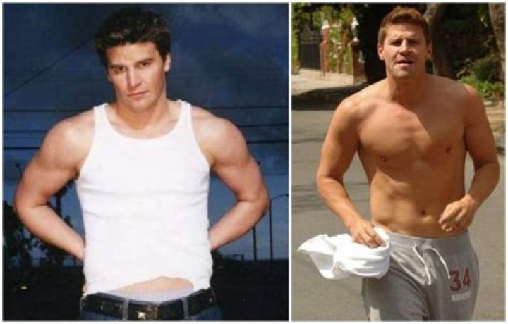 David Boreanaz Height: A Comprehensive Look at the Actor's Stature and Career